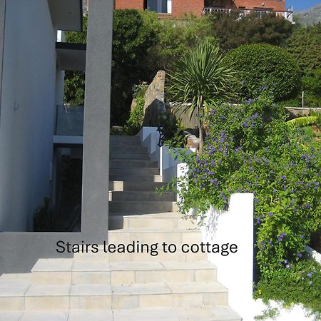 Camps Bay Cosy Accommodation Cape Town Eksteriør bilde
