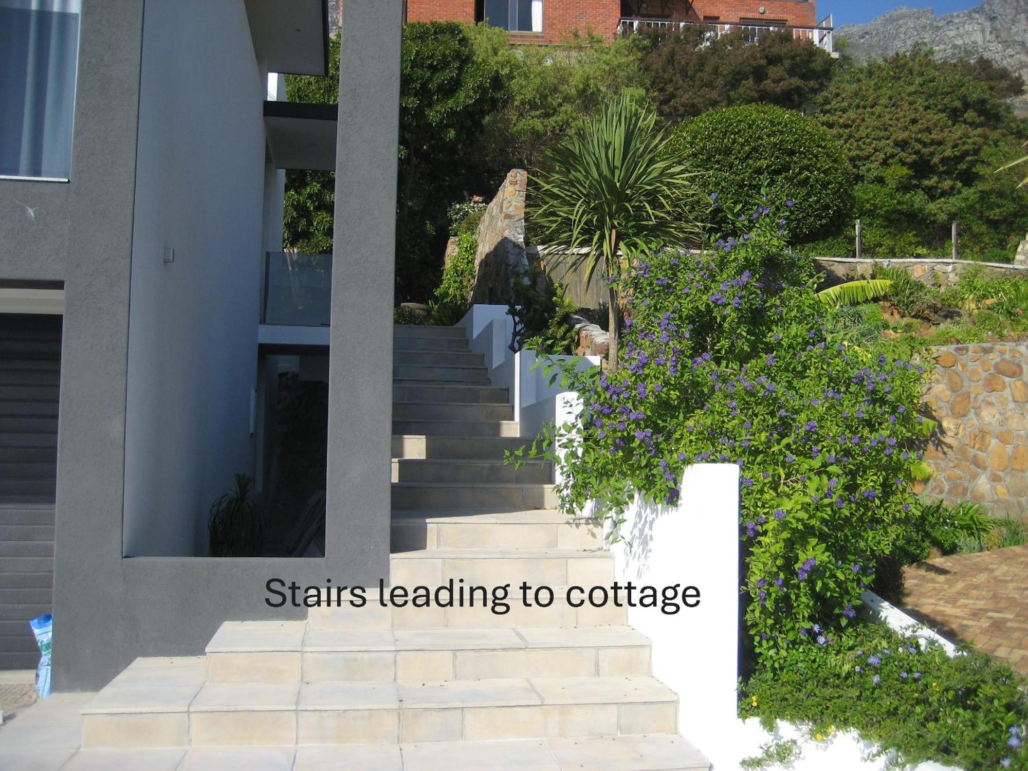 Camps Bay Cosy Accommodation Cape Town Eksteriør bilde