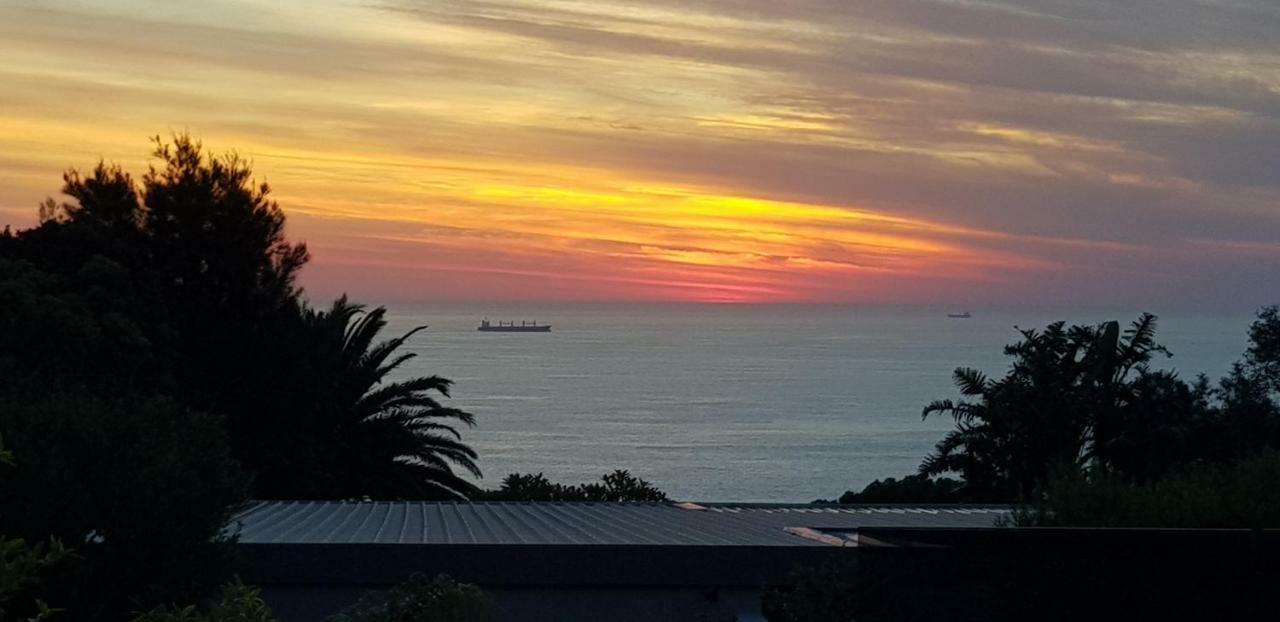 Camps Bay Cosy Accommodation Cape Town Eksteriør bilde